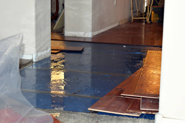 Professional Basement Flood Cleanup technician working in Perkasie, PA
